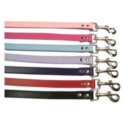 Dog Leads